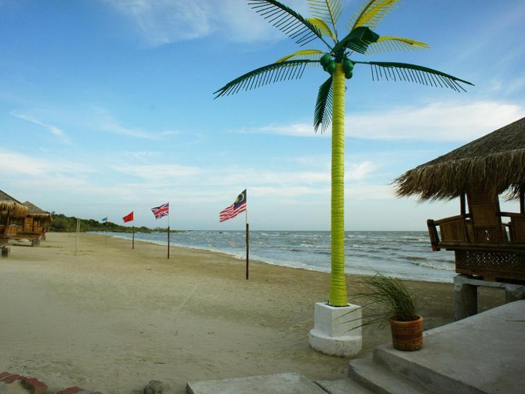 Zamlan Gold Coast Intl - * Morib